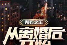 赌石之王从离婚后开始沈复，赌石之王从离婚后开始章节在线阅读-侠客文学