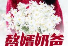 《赘婿奶爸》小说章节在线试读，《赘婿奶爸》最新章节目录-侠客文学