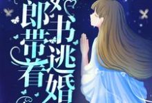 完结版《新婚夜,新郎带着婚书逃婚了?》在线免费阅读-侠客文学