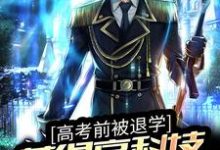 高考前被退学，获得高科技武器图纸 林海李慕儿小说免费阅读-侠客文学