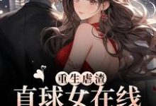 安静宋元思是哪本书的主角？寻找重生虐渣！直球女在线为夫洗白免费阅读-侠客文学