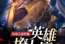 快穿王者荣耀：英雄，撩上瘾这本小说怎么样？免费在线阅读试试-侠客文学