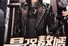 最强赘婿这本小说怎么样？免费在线阅读试试-侠客文学