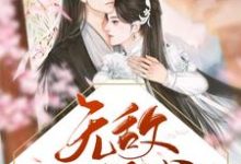 赵佖木婉清是哪本书的主角?寻找无敌小王爷免费阅读-侠客文学