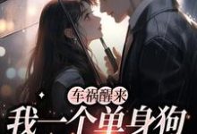 车祸醒来，我一个单身狗有了娃？小说完结版章节免费阅读-侠客文学