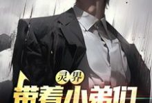 在线寻找灵界：带着小弟们，我振兴龙国了小说的无删减版本-侠客文学