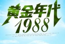 完结版《黄金年代1988》在线免费阅读-侠客文学