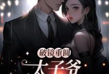 完结版《破镜重圆:太子爷他太霸道》在线免费阅读-侠客文学