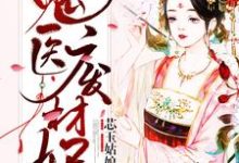 鬼医废材妃璃七北萧南小说免费阅读-侠客文学