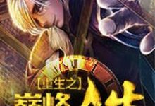 求推荐可以免费阅读重生之巅峰人生小说的网站-侠客文学