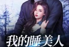 完结版《我的睡美人总裁老公》在线免费阅读-侠客文学