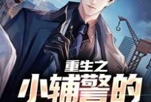 已完结小说《重生之小辅警的逆袭路》章节免费阅读-侠客文学