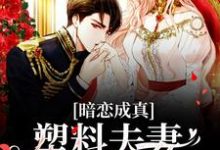 主人公叫岑望月盛棠舟的小说暗恋成真:塑料夫妻假戏真做在线阅读章节-侠客文学