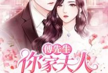 小说《傅先生，你家夫人吊打全世界了》章节免费阅读-侠客文学