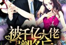 《被千亿大佬壁咚后，我以牙还牙》全集免费在线阅读（乔恋凌霄）-侠客文学