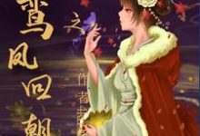 重生之鸾凤回朝小说的最新章节在哪里更新?免费追踪阅读-侠客文学