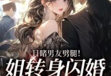 求目睹男友劈腿!姐转身闪婚京圈大佬小说的全文免费阅读链接-侠客文学