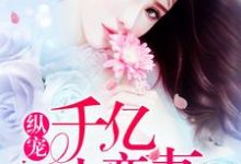 纵宠千亿小蛮妻小说，纵宠千亿小蛮妻苏棠萧战-侠客文学