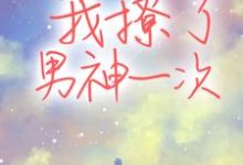 我撩了男神一次免费阅读，我撩了男神一次章节目录-侠客文学