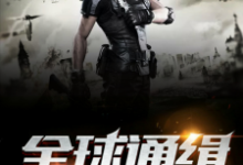 《全球通缉》小说大结局免费试读 宋阳丫丫黄博小说-侠客文学