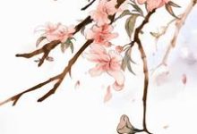 在线寻找楚玄夜宋安宁陆静怡靖安侯合欢散的小说，当我得知自己是恶毒女配后……免费阅读-侠客文学