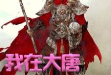 我在大唐卖军火这本小说完结了吗?免费查看最新章节-侠客文学