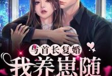 主人公叫宁禾贺绍川的小说与首长复婚，我养崽随军都可行在线阅读章节-侠客文学