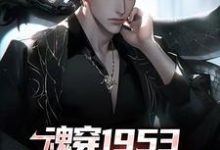 主人公叫藤原秀泽的小说魂穿1953：我在岛国当渔民在线阅读章节-侠客文学