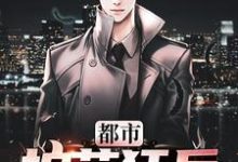 小说《都市护花狂兵》章节阅读-侠客文学