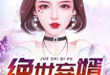 绝世弃婿小说无弹窗阅读的网站推荐-侠客文学