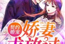 男女主人公唐宁靳寒小说契约婚宠：娇妻求放过章节免费阅读-侠客文学