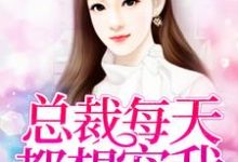 主角夏久月慕景深苏沫小说完结版在线阅读,总裁每天都想宠我免费看-侠客文学