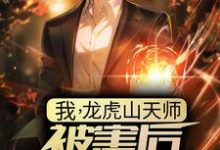 叶玄林清影是哪本书的主角？我，龙虎山天师，被害后傻了三年？免费读-侠客文学