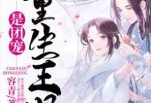 重生王妃是团宠章节免费在线阅读,乔荞陆风临林清雅秋月完结版-侠客文学