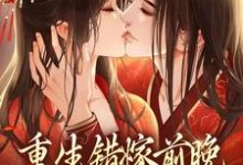 主角苏蒹葭沈鹤亭小说完结版在线阅读,重生错嫁前晚,我找上前夫他爹免费看-侠客文学