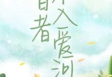 陈念徐晏清小说《智者不入爱河》在线阅读-侠客文学