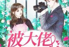 傅安笙郁霆琛小说在哪里可以看-侠客文学