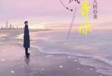 苏瑶陆励成的完整故事在哪里?读等风也等你小说-侠客文学