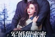 军婚甜蜜蜜:兵王老公使劲宠 冯晚禾薛战城小说大结局免费试读-侠客文学