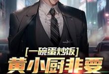 一碗蛋炒饭，黄小厨非要拜我为师这本小说怎么样？免费在线阅读试试-侠客文学