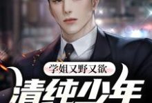 主角叫萧辰林岚小说学姐又野又欲，清纯少年他红了脸章节免费阅读-侠客文学