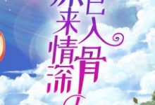 主人公叫韩洛段奕铭的小说原来情深已入骨在线阅读章节-侠客文学