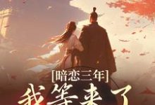 在线寻找暗恋三年,我等来了命定姻缘小说的无删减版本-侠客文学