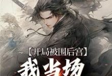 开局被围后宫，我当场登基为帝江策霍景，开局被围后宫，我当场登基为帝在线无弹窗阅读-侠客文学