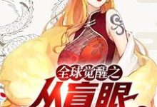 寻找全球觉醒之从盲眼剑客开始小说的最新更新章节-侠客文学