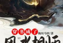 穿书成了风水相师他师父免费阅读，穿书成了风水相师他师父 李天一叶倩倩-侠客文学