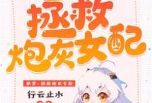 完结版《快穿:拯救炮灰女配》章节阅读-侠客文学