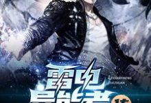 完结版《雷电异能者传》在线免费阅读-侠客文学