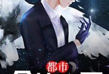 小说《都市全能仙医》章节免费阅读-侠客文学