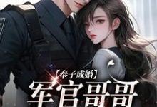 求推荐可以免费阅读奉子成婚:军官哥哥别太宠小说的网站-侠客文学